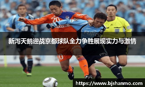 爱游戏ayx