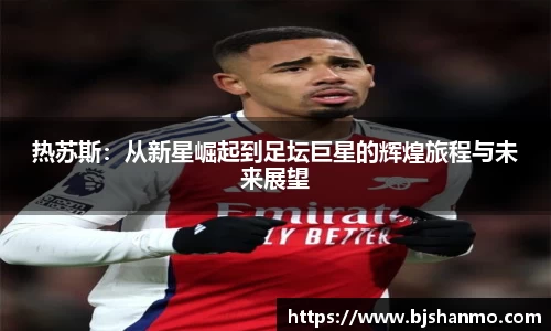 爱游戏ayx
