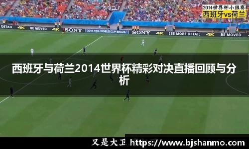 爱游戏ayx官方网站
